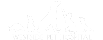 ASSET - Westside Pet Hospital and Boarding 0255- FooterLogo